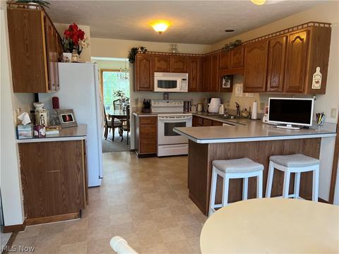 520 William St, Lagrange, OH 44050 photo 8