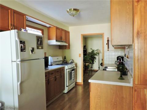 306 Roosevelt Ave, Elyria, OH 44035 photo 16