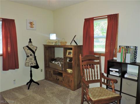 306 Roosevelt Ave, Elyria, OH 44035 photo 11