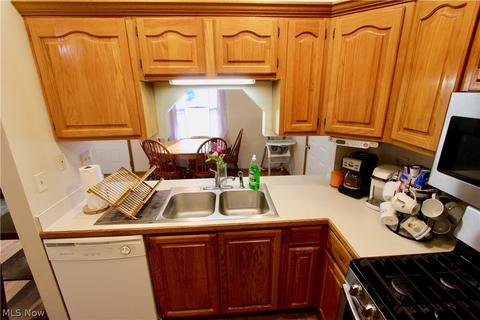 360 Hickory Run, Lagrange, OH 44050 photo 13