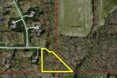 7730 Emerald Run Rd, Medina, OH 44256 photo 3