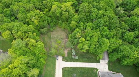 7730 Emerald Run Rd, Medina, OH 44256 photo 6