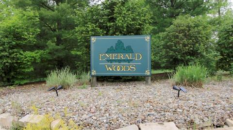 7730 Emerald Run Rd, Medina, OH 44256 photo 19