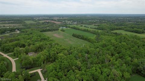 7730 Emerald Run Rd, Medina, OH 44256 photo 8