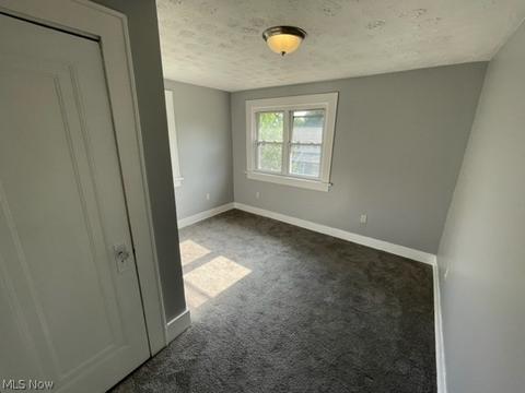 1107 Murray Ave, Akron, OH 44310 photo 12