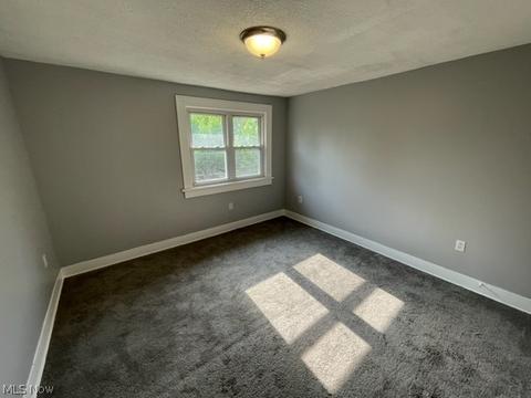 1107 Murray Ave, Akron, OH 44310 photo 11
