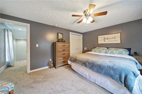 89 E Ashtabula St, Jefferson, OH 44047 photo 22