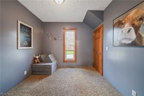 89 E Ashtabula St, Jefferson, OH 44047 photo 17