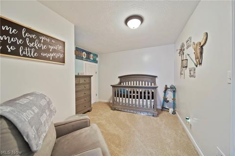 89 E Ashtabula St, Jefferson, OH 44047 photo 18