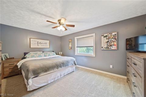 89 E Ashtabula St, Jefferson, OH 44047 photo 23