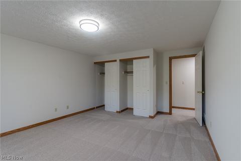 7159 Longview Dr, Solon, OH 44139 photo 27