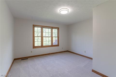 7159 Longview Dr, Solon, OH 44139 photo 23