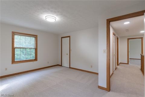 7159 Longview Dr, Solon, OH 44139 photo 29