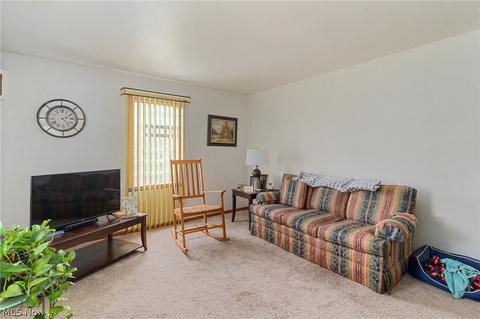 509 9th St, Struthers, OH 44471 photo 5