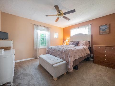 361 High Tee St, Willowick, OH 44095 photo 15