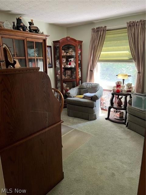 413 Adamle Dr, Kent, OH 44240 photo 26