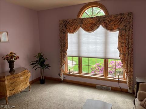 5313 Shadow Creek Dr, Boardman, OH 44512 photo 20