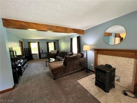 6434 Ledge Rd, Thompson, OH 44086 photo 8