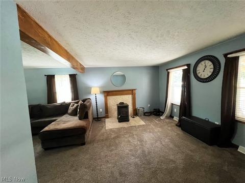 6434 Ledge Rd, Thompson, OH 44086 photo 7