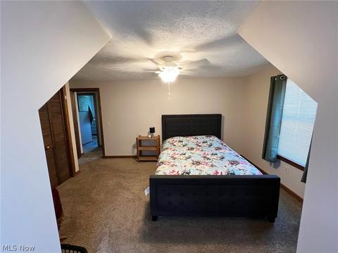 6434 Ledge Rd, Thompson, OH 44086 photo 17