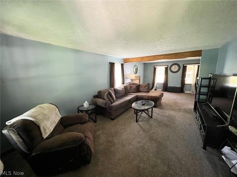 6434 Ledge Rd, Thompson, OH 44086 photo 6