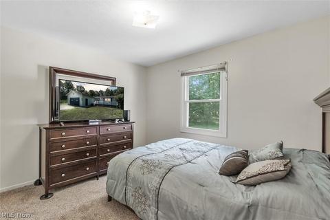 6922 State Route 303, Windham, OH 44288 photo 18