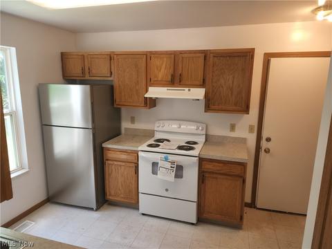 4310 Coleman Ave, Ashtabula, OH 44004 photo 2