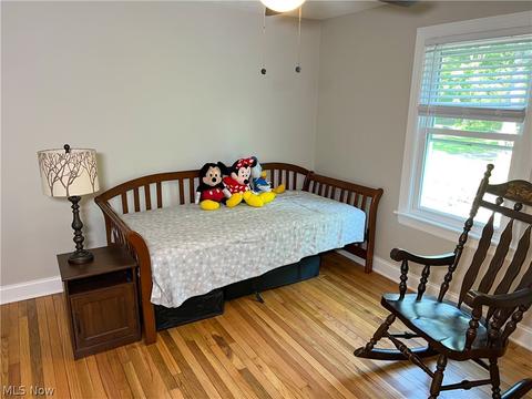 4376 Mellinger Rd, Canfield, OH 44406 photo 19