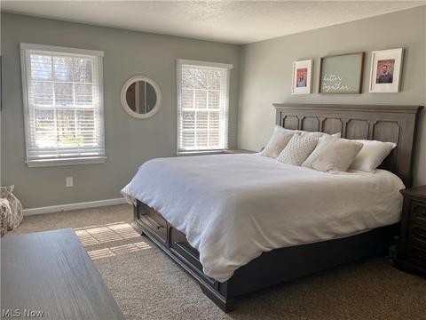 6804 Killdeer Dr, Canfield, OH 44406 photo 12