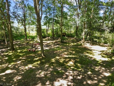 6804 Killdeer Dr, Canfield, OH 44406 photo 5