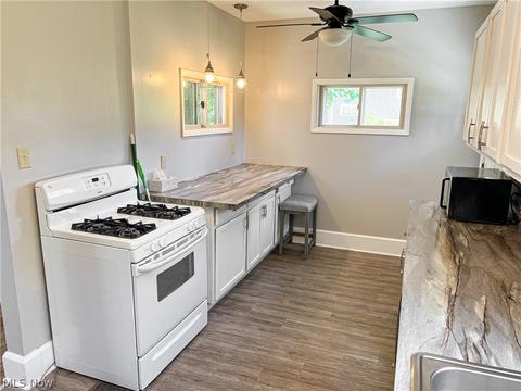 408 Maplewood Ave, Struthers, OH 44471 photo 10