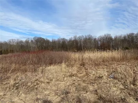 Timber Pointe Trail, Mantua, OH 44255