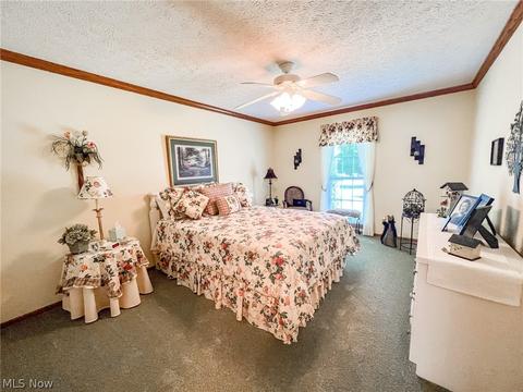 42196 Whitney Rd, Lagrange, OH 44050 photo 12