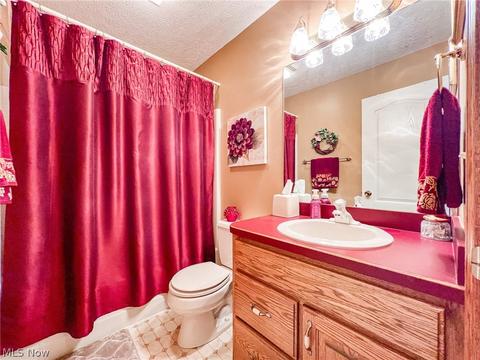 42196 Whitney Rd, Lagrange, OH 44050 photo 8