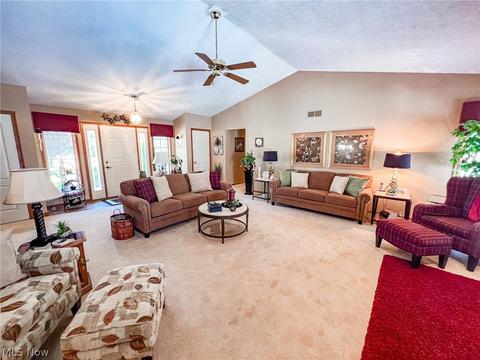 42196 Whitney Rd, Lagrange, OH 44050 photo 5