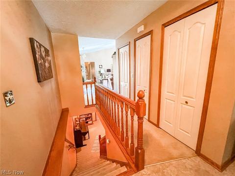 42196 Whitney Rd, Lagrange, OH 44050 photo 14