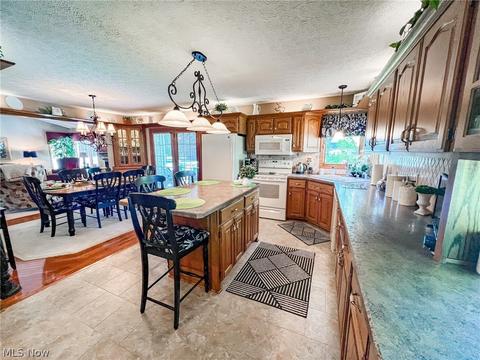 42196 Whitney Rd, Lagrange, OH 44050 photo 4
