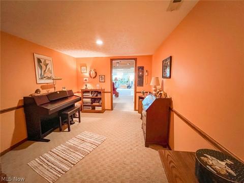 42196 Whitney Rd, Lagrange, OH 44050 photo 19