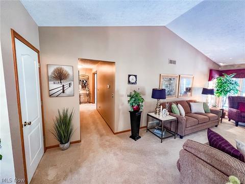 42196 Whitney Rd, Lagrange, OH 44050 photo 9