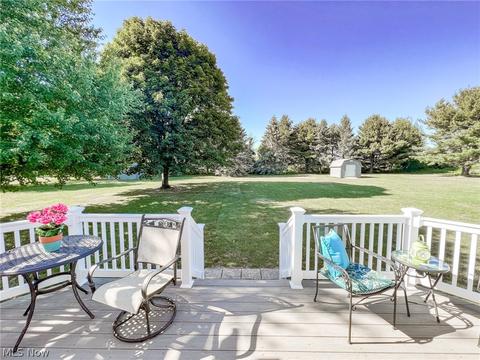 42196 Whitney Rd, Lagrange, OH 44050 photo 31