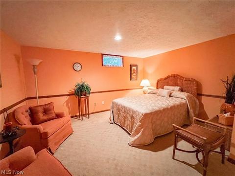 42196 Whitney Rd, Lagrange, OH 44050 photo 20