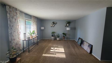 571 Georgetown Ave, Elyria, OH 44035 photo 4