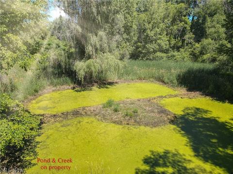 2077 Wright Rd, Akron, OH 44320 photo 27