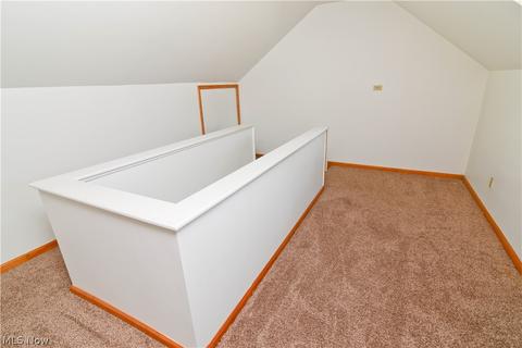 1141 Runge Ave, Struthers, OH 44471 photo 23