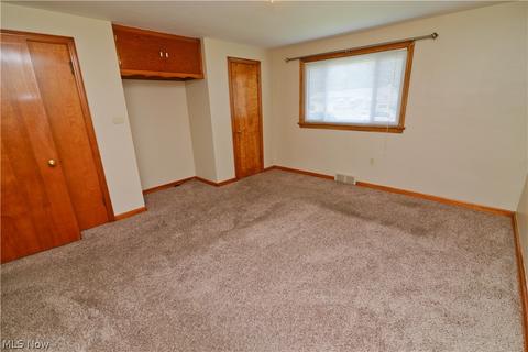 1141 Runge Ave, Struthers, OH 44471 photo 15
