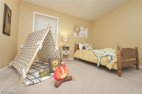 275 Ruby Ln, Streetsboro, OH 44241 photo 26