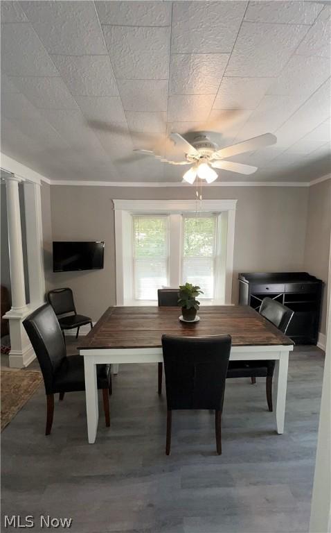 842 Springdale Dr, Akron, OH 44310 photo 5