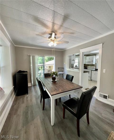 842 Springdale Dr, Akron, OH 44310 photo 4
