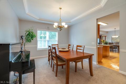 7650 Pinecrest Ln, Solon, OH 44139 photo 8