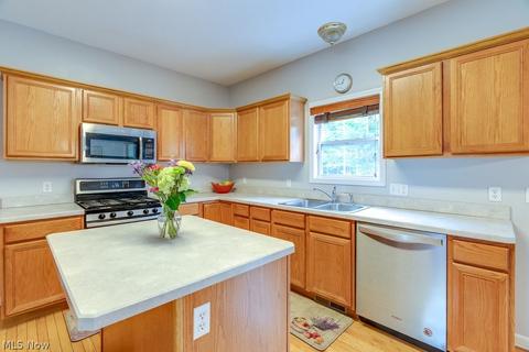 7650 Pinecrest Ln, Solon, OH 44139 photo 10